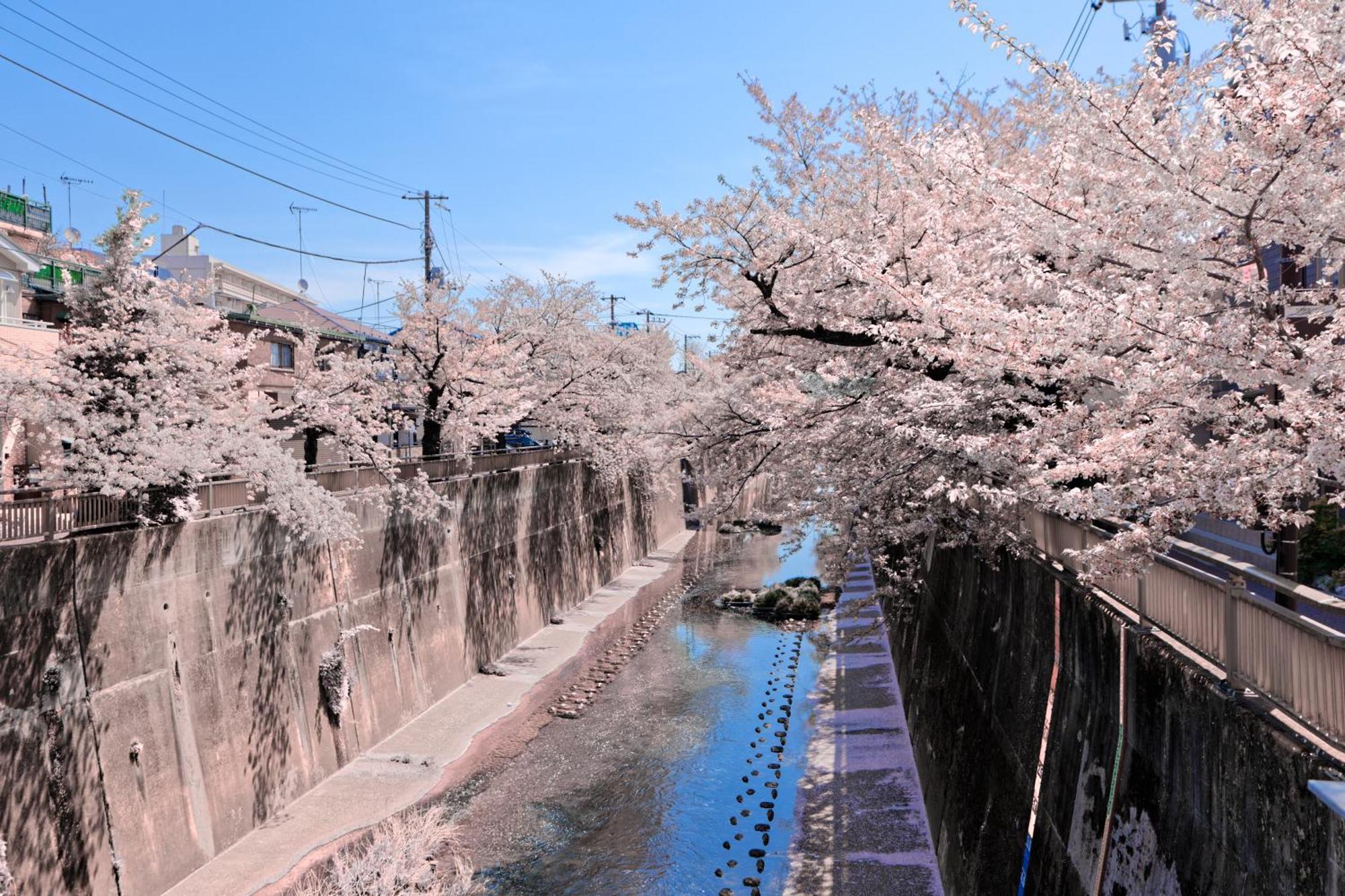 Calm Riverside Inn Close To Ikebukuro Tokyo Dış mekan fotoğraf